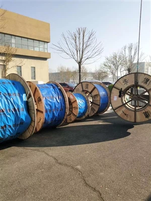 Posizione e requisiti ambientali per l'installazione dei cavi per decorazioni domestiche